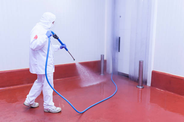 Best Concrete Sealing  in Eveleth, MN